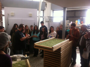 a group of pupils listening to a guide at Mushrooms Products of Grevena workshop