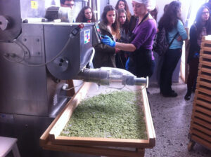 a group of pupils watching a woman using pasta machine at Mushrooms Products of Grevena plant