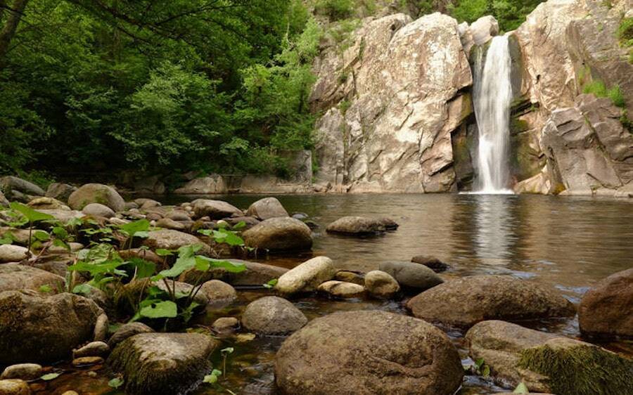 Nestos River food tours - Gastronomy Tours Nestos