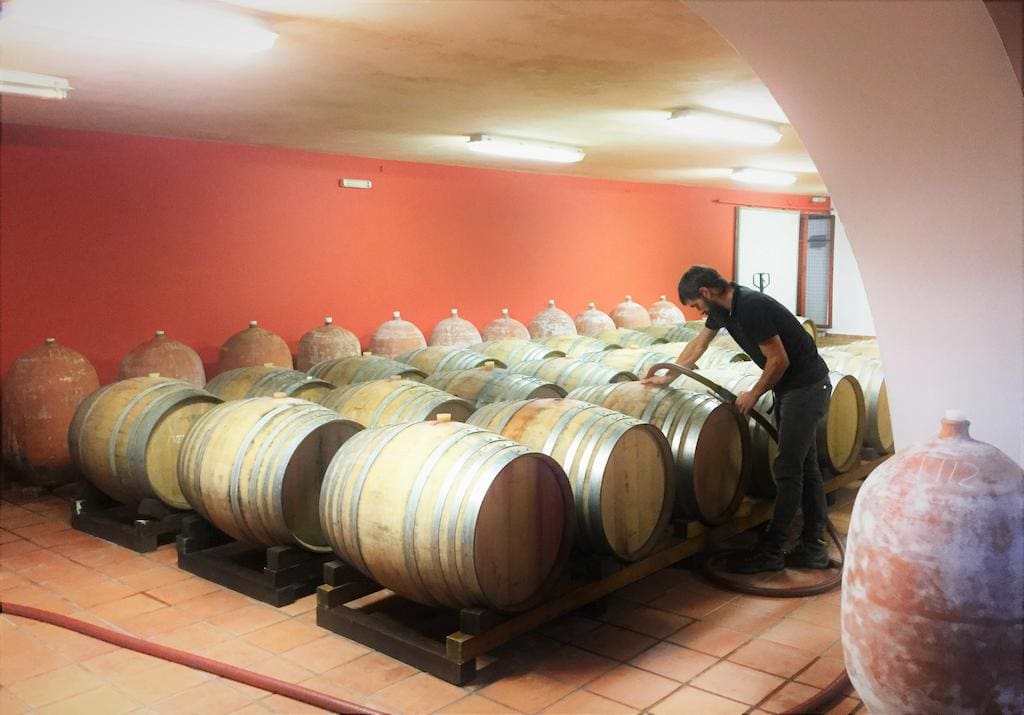 Rouvalis Winery Awards - Gastronomy Tours oenologist tasting the wine from storage tank at Rouvalis Winery cellar||