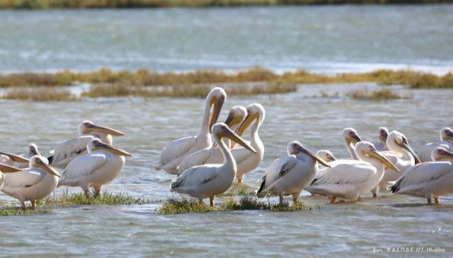 The Evros River food tours - Gastronomy Tours Evros