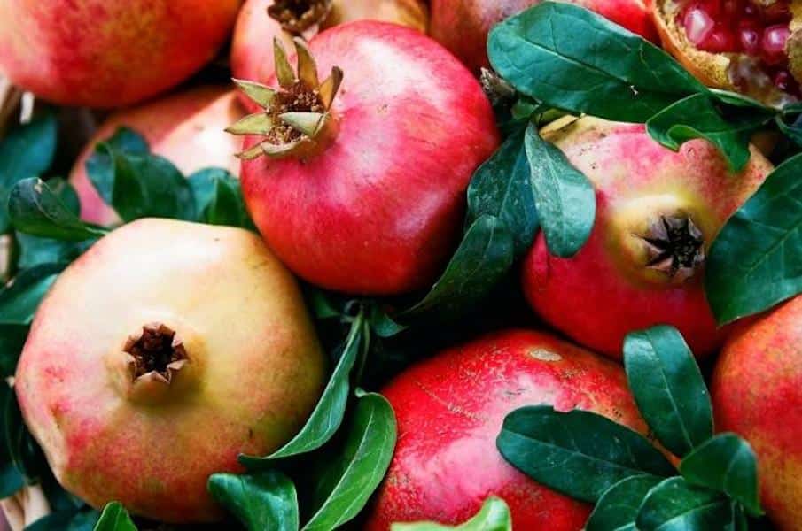 Ermioni, Pomegranate Festival - Gastronomy Tours pomegranates at Pom Star Gastronomy Tours - Gastronomy Tours