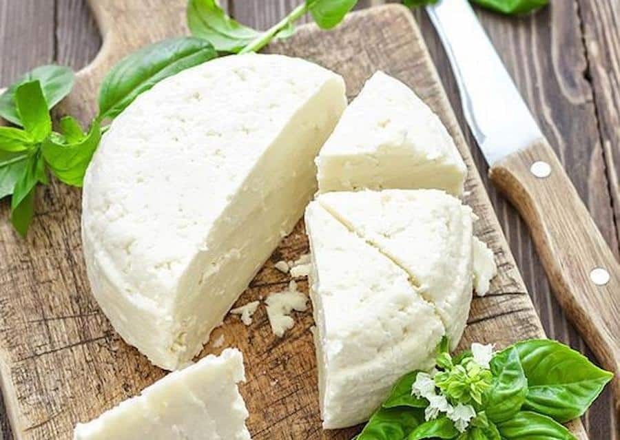 Sfela - Gastronomy Tours view from above of pieces of round sfela cheese with fresh herbs and a knife