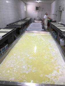 man working at tanks for cheese stewing at Siafarikas Dairy plant