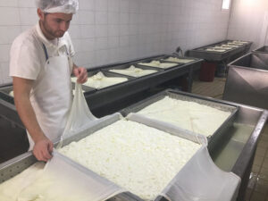 man working at tanks for cheese stewing at Siafarikas Dairy plant