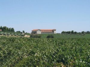 Tzivani Bio Wines vineyards and a building and trees in the background