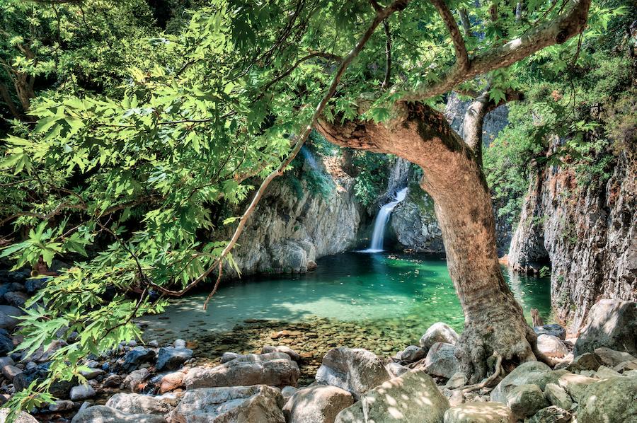 Samothrace food tours - Gastronomy Tours Samothrace