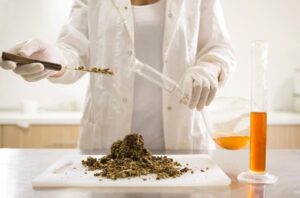 Woman in uniform skillfully blending herbs in a cylinder. Embrace the essence of Greek botanical excellence