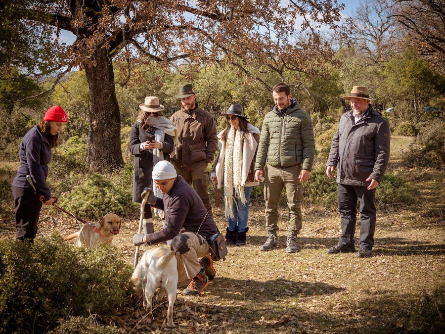 Truffle Hunting at Mushroom Museum & Natural History Museum of Meteora