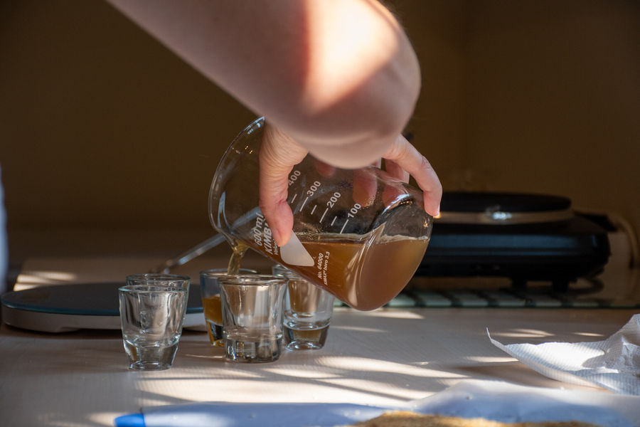 Honey Craft Workshops at From A to Bee