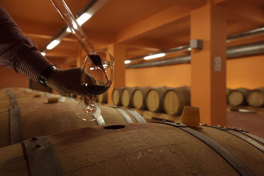 Tour, Tasting and Food Pairing at Zacharioudakis Winery
