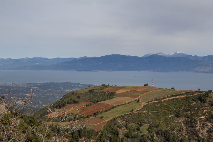 Premium Wine Tour & Tasting at Acheon Winery, Peloponnese - Gastronomy Tours Premium Wine Tour & Tasting at Acheon Winery, Peloponnese