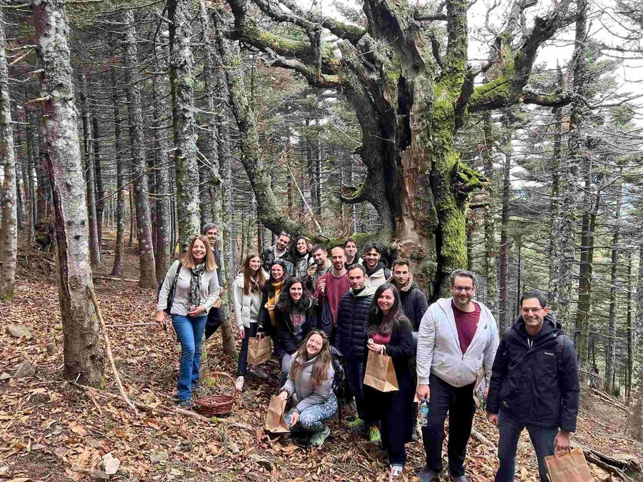 A Mushroom Adventure in Kymi on October 26, 2025 (Shared) - Gastronomy Tours A Mushroom Adventure in Kymi on October 26, 2025 (Shared)
