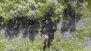 5SHcxpWR_DJI_0437 (1).jpg
