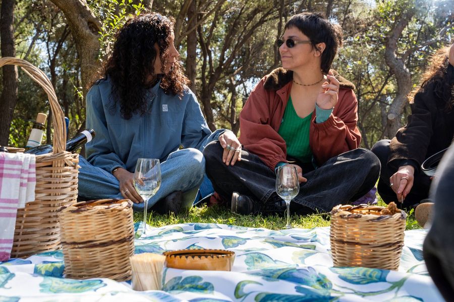 Wine Tasting & Picnic at Philopappou Hill, Athens - Gastronomy Tours Wine Tasting & Picnic at Philopappou Hill, Athens