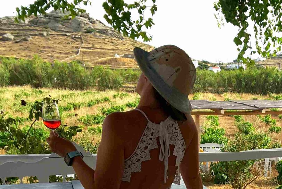 Wine and Local Food Tasting at Mykonos Vioma Organic Farm - Gastronomy Tours Wine and Local Food Tasting at Mykonos Vioma Organic Farm