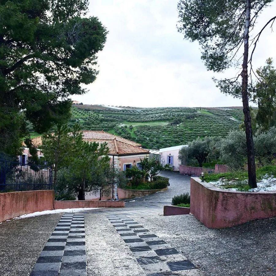 Gastronomic Expedition in Crete: From Olive Grove to Kitchen Table - Gastronomy Tours Gastronomic Expedition in Crete: From Olive Grove to Kitchen Table