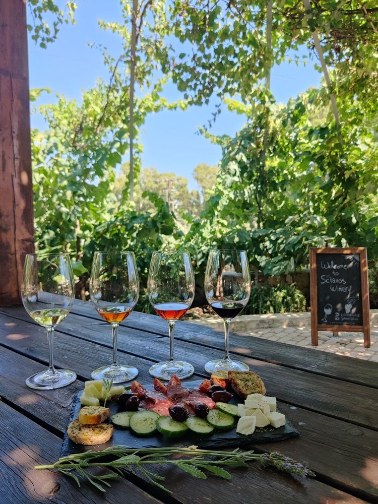 Wine, Flavours and Vineyard Experience at Sclavos Winery, Kefalonia - Gastronomy Tours Wine, Flavours and Vineyard Experience at Sclavos Winery, Kefalonia