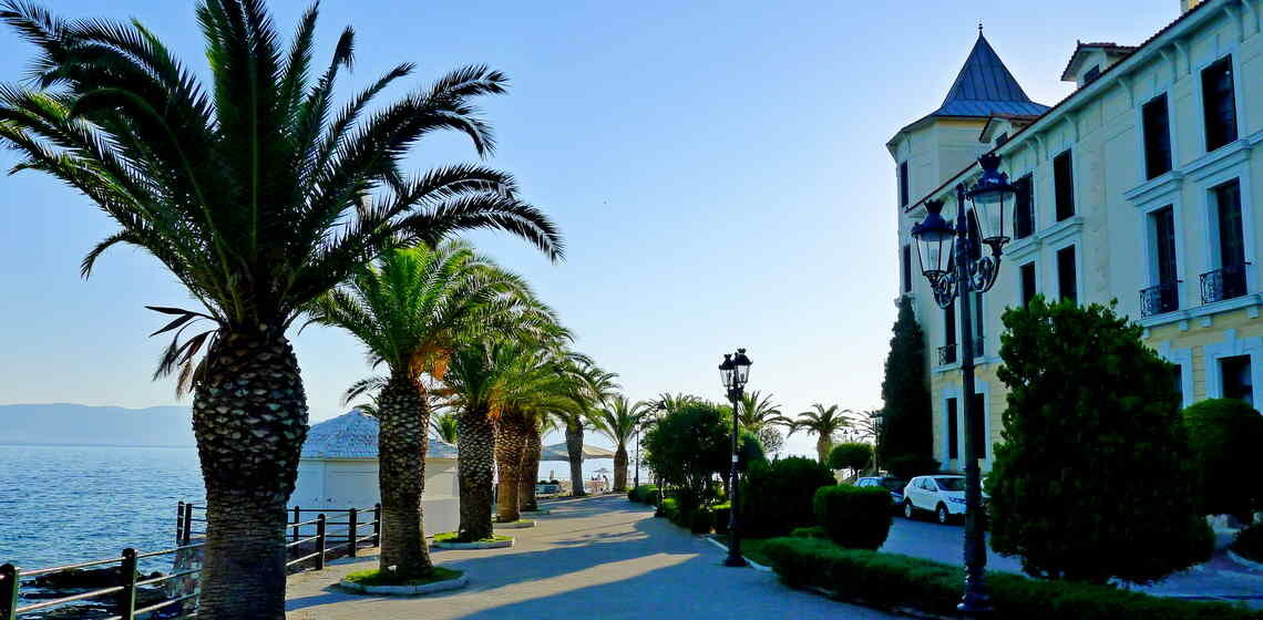 The Best Aidipsos (Edipsos) Food Tours - Gastronomy Tours a street with palm trees and buildings