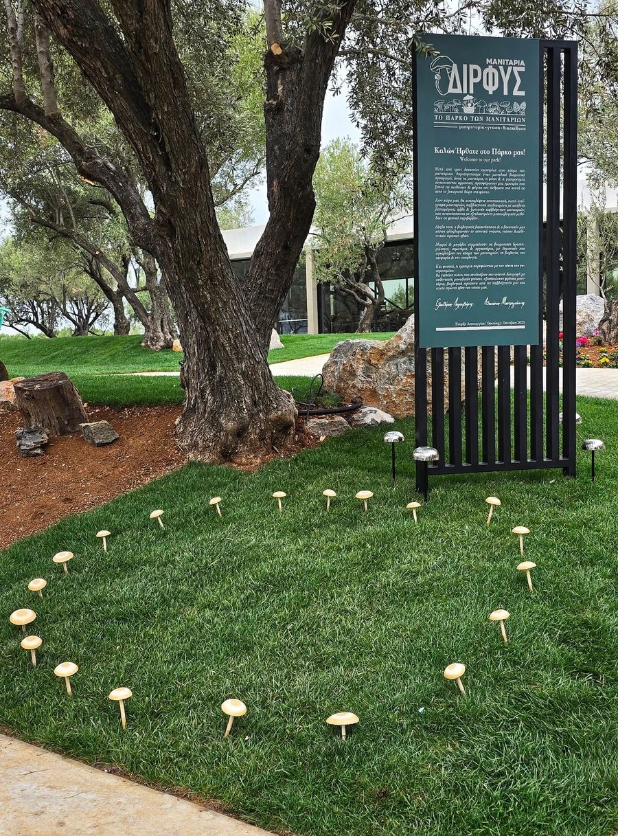 Explore Our Cultivations & Share a Lunch at Dirfis Mushrooms Park