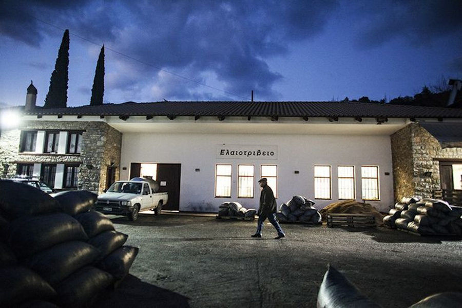 Ben Olive Mill - Olive Tour & Tasting - Gastronomy Tours Ben Olive Mill – Olive Tour & Tasting
