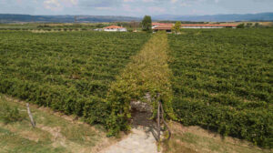 DJI_0053.jpg