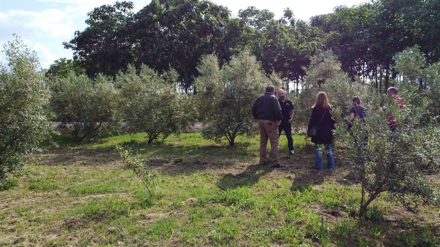 Tour, Tasting and Food Pairing at Maleas Estate