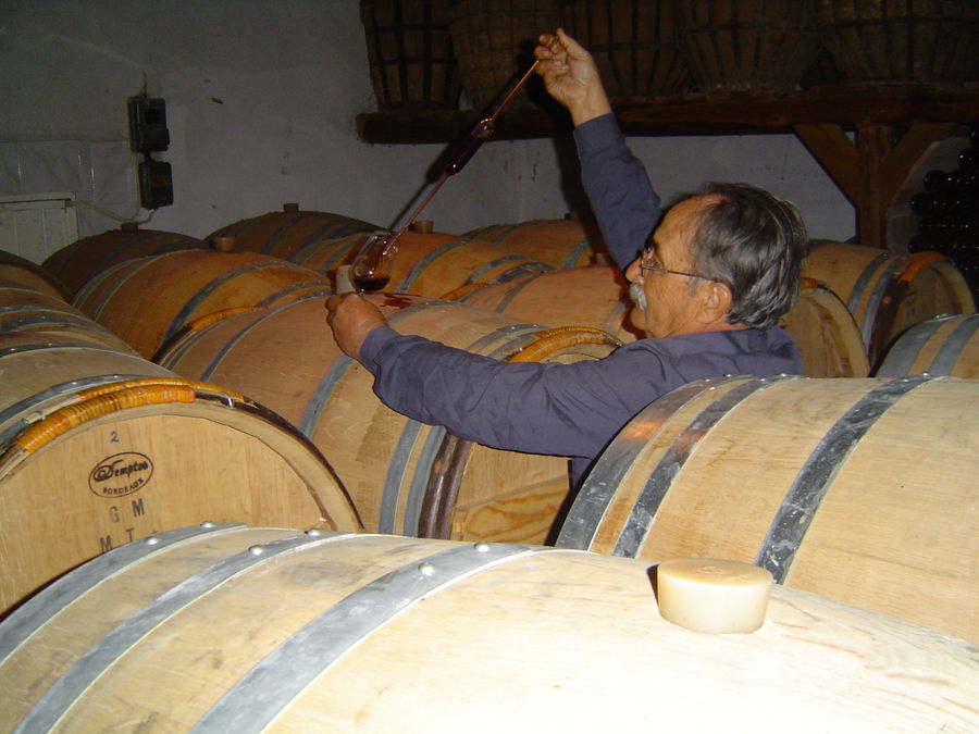 Domaine Tatsis - Gastronomy Tours Domaine Tatsis