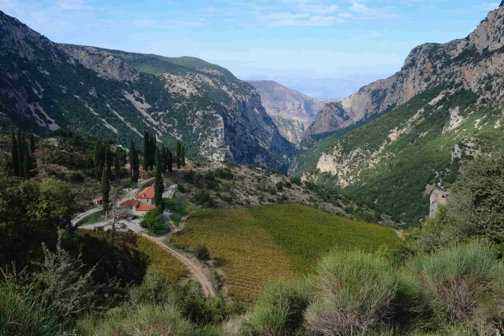 The Wines of Achaia - Gastronomy Tours The Wines of Achaia