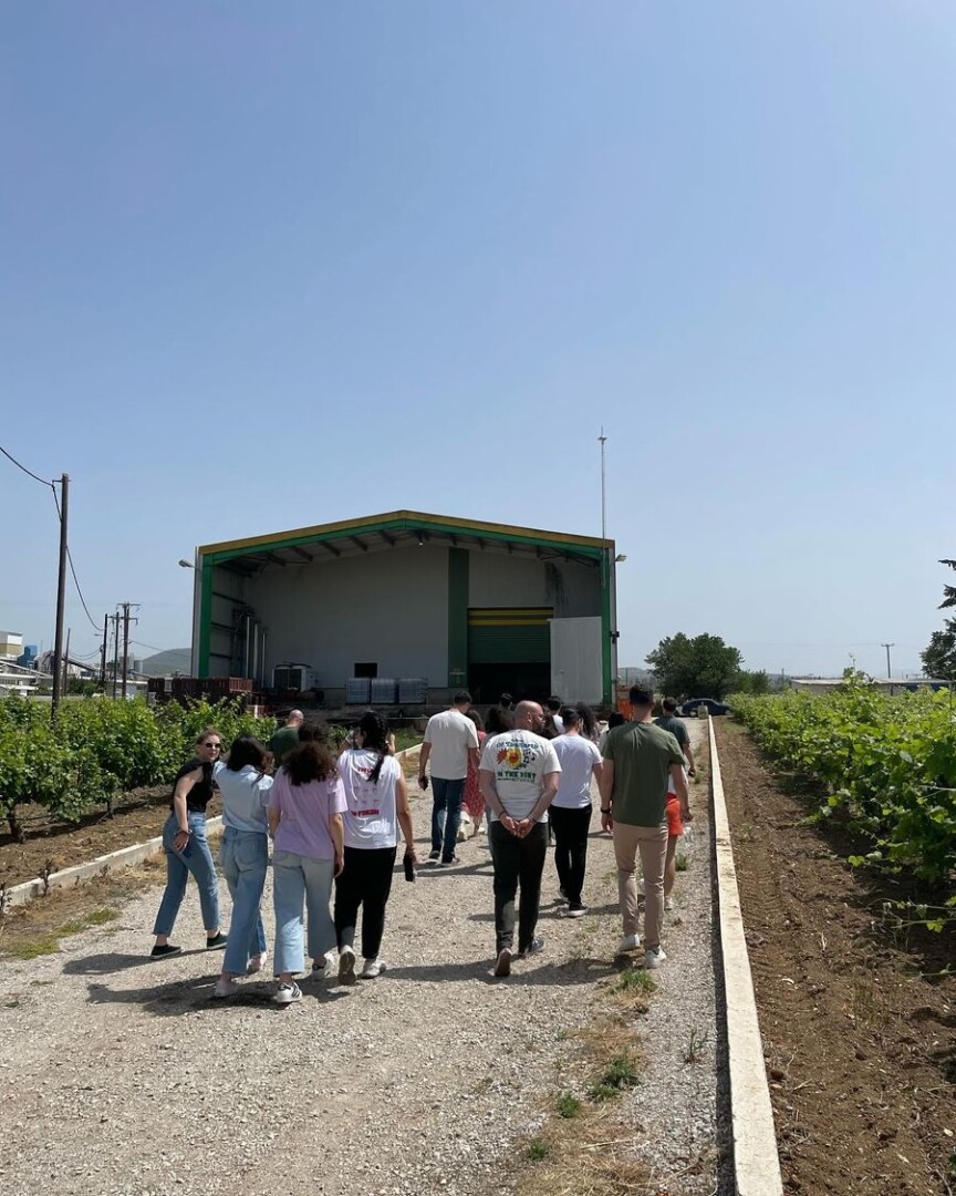 Agatsa Winery - Guided Tour and Wine Tasting in Thebes - Gastronomy Tours Agatsa Winery – Guided Tour and Wine Tasting in Thebes