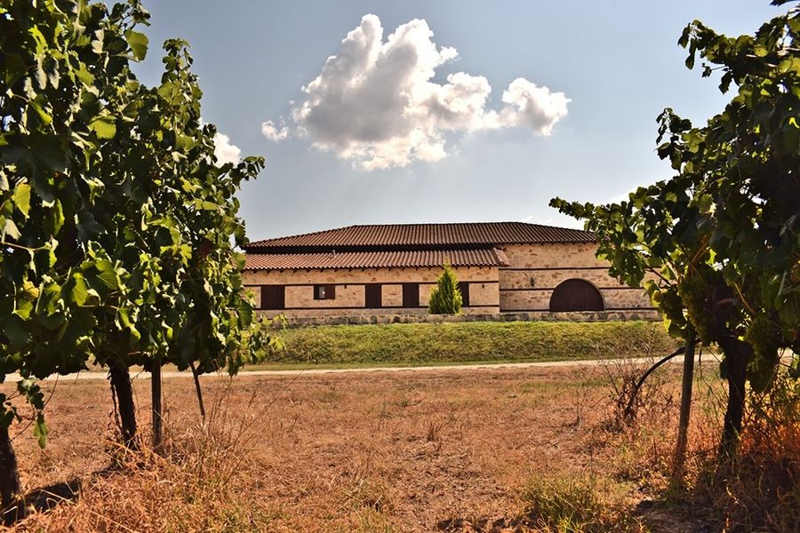 Livadioti Estate - Gastronomy Tours Livadioti Estate