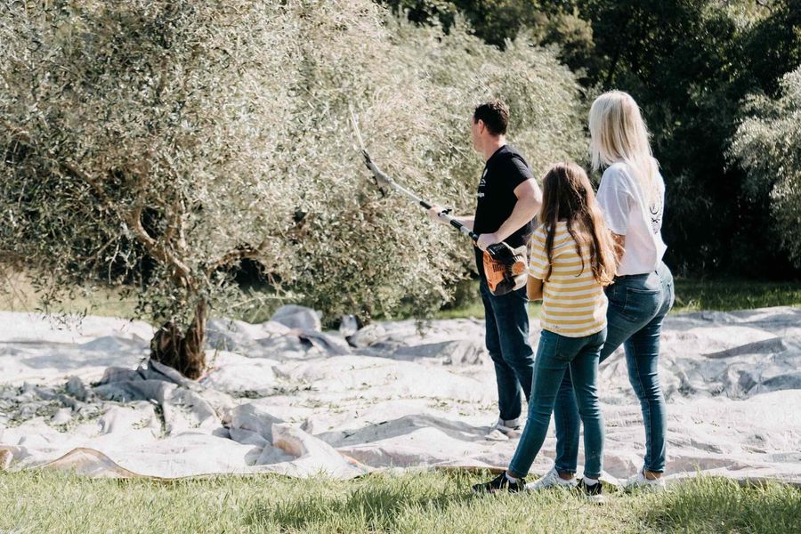 A Deep Dive into Corfu’s Olive Oil Heritage with The Governor Olive Oil - Gastronomy Tours A Deep Dive into Corfu’s Olive Oil Heritage with The Governor Olive Oil