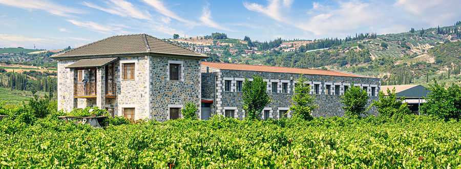 Ieropoulos Winery - Tour & Wine Tasting Experience in Nemea - Gastronomy Tours Ieropoulos Winery – Tour & Wine Tasting Experience in Nemea