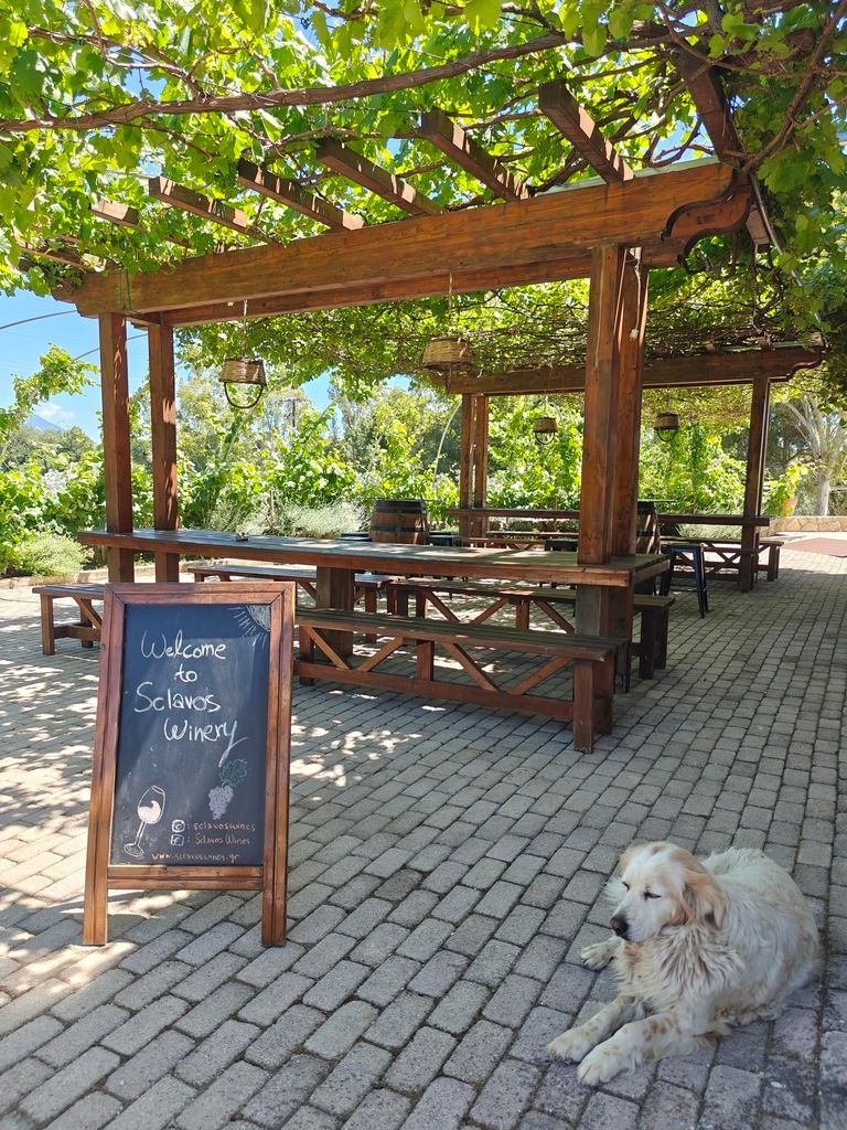 Chania Wine Tasting Tours - Gastronomy Tours Chania Wine Tasting Tours