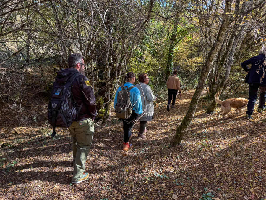 East Zagori Truffle Hunt and Cooking Experience