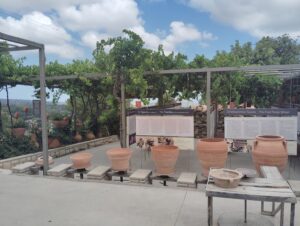 IMG_20240629_114642.jpg