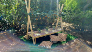 KIDS_PIC_NIC_3.jpg