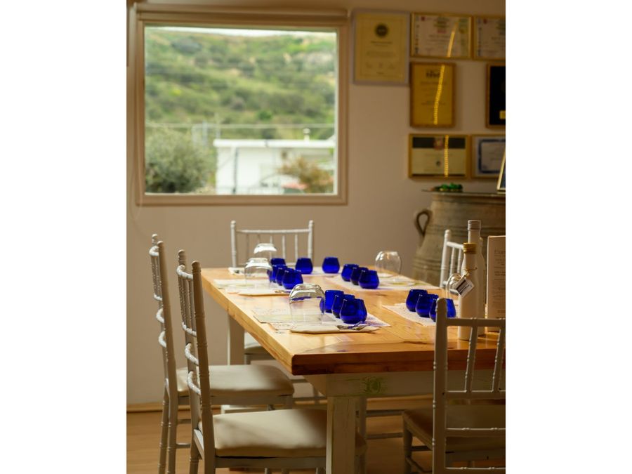 Elli's Farm, Olive oil tasting - Gastronomy Tours Elli’s Farm, Olive oil tasting