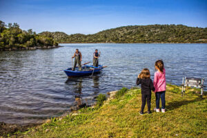 MG_0570m.webp