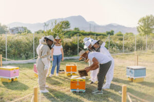 _MG_3824-0.webp