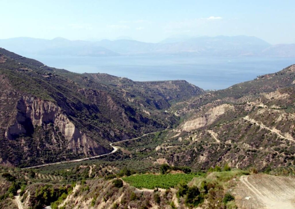 Aegialia