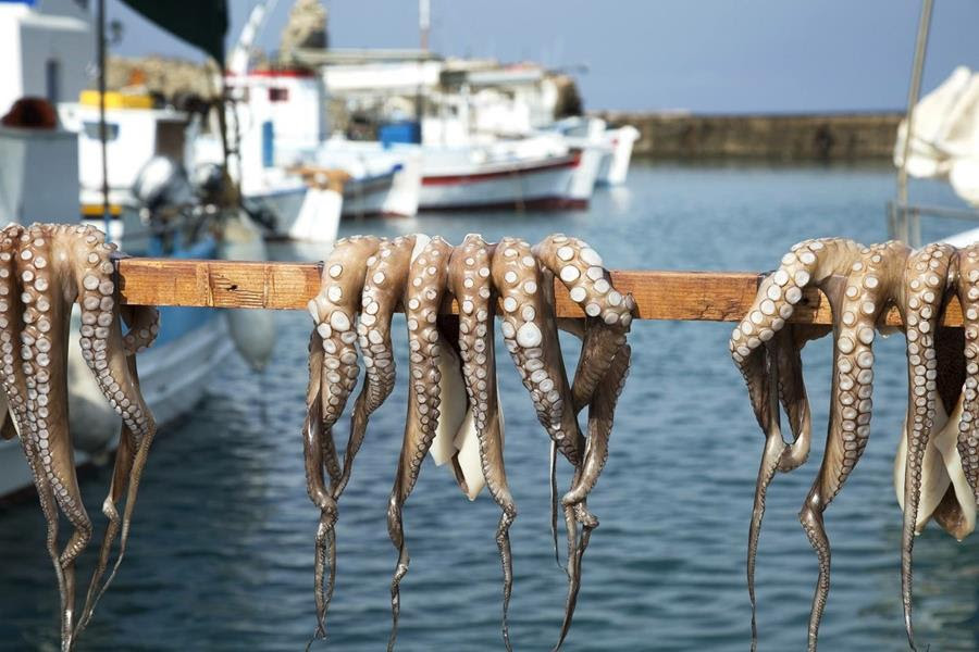 The Best Aegean Islands food tours - Gastronomy Tours Octapus - Gastronomy Tours