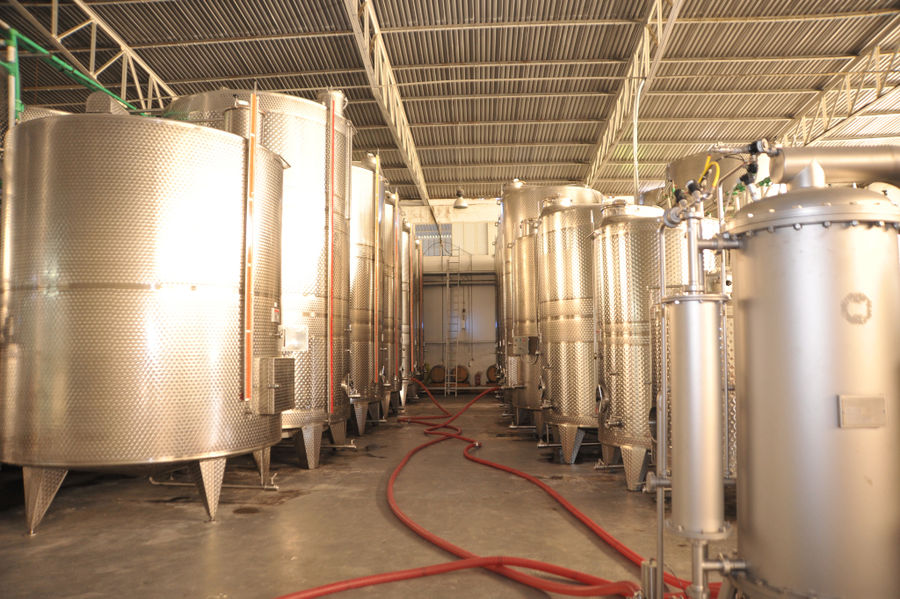 Esti Wines - Gastronomy Tours Esti Wines