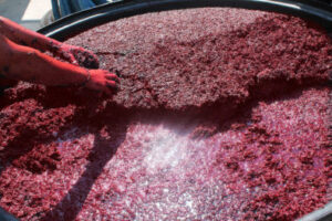 PressedGrapes-394x263.jpg