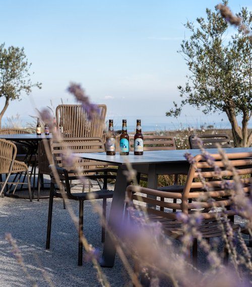 The FTELOS Behind The Scenes Experience at Ftelos Brewery