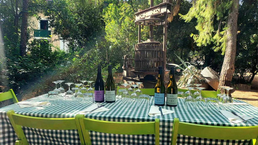 Private Vineyard Tour and Wine Tasting with Greek Tradition's Culinary Surprises at Roxane Matsa Estate - Gastronomy Tours Private Vineyard Tour and Wine Tasting with Greek Tradition’s Culinary Surprises at Roxane Matsa Estate