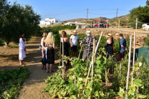 Saint-Anna-Winery-Naxos-05.jpg