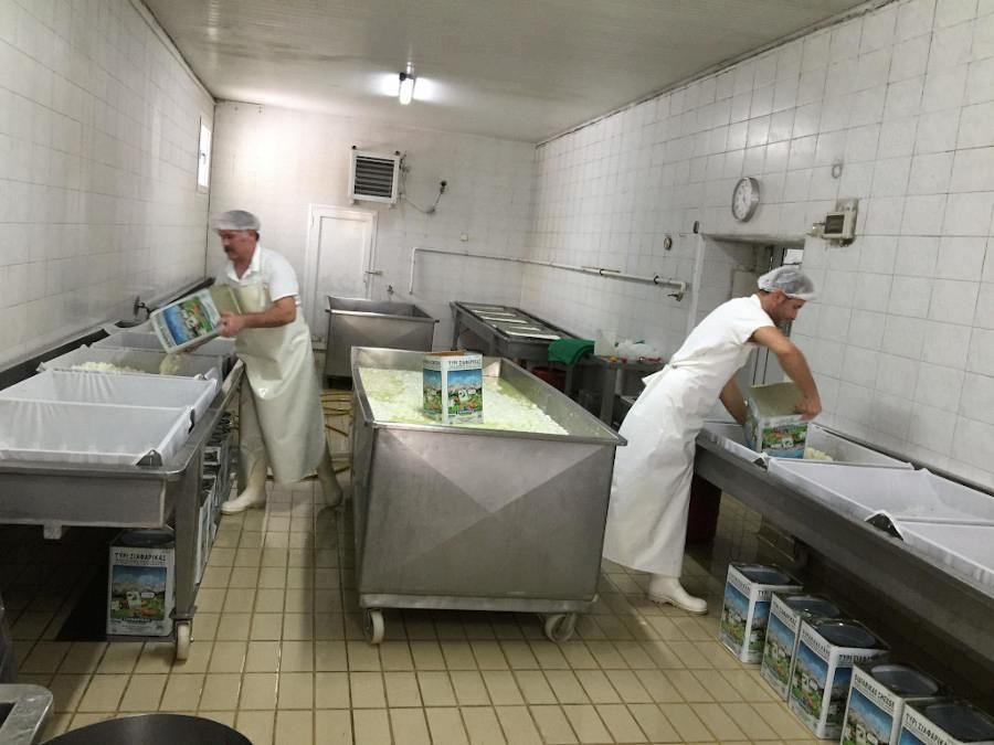 Siafarikas Dairy - Gastronomy Tours Siafarikas Dairy