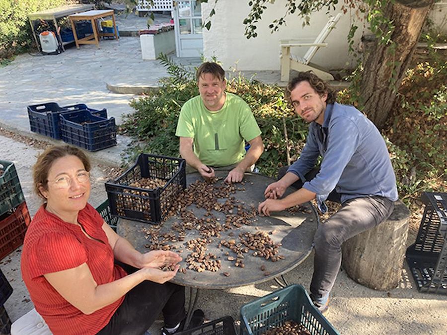 OAKMEAL - Gastronomy Tours OAKMEAL