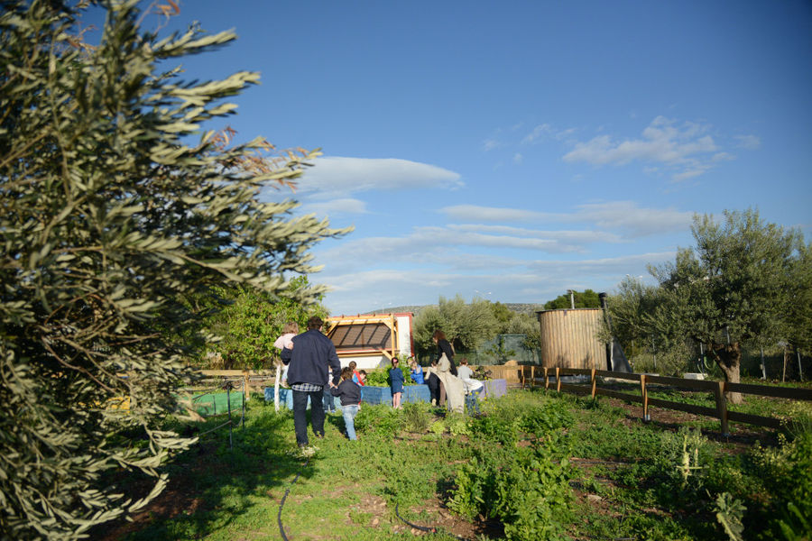 Honey Tasting at The Orchard in Vari - Gastronomy Tours Honey Tasting at The Orchard in Vari